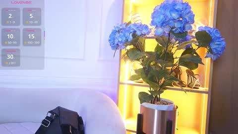 Elasummeer online show from December 2025 11:48:01 AM