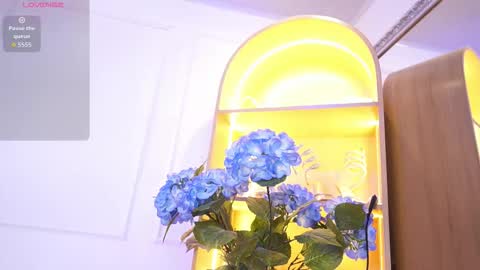 Elasummeer online show from December 2025 11:49:02 AM