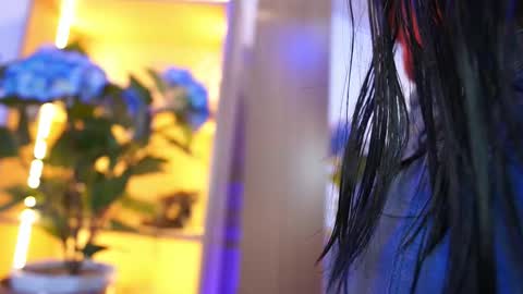 Elasummeer online show from January 2026 11:58:01 AM