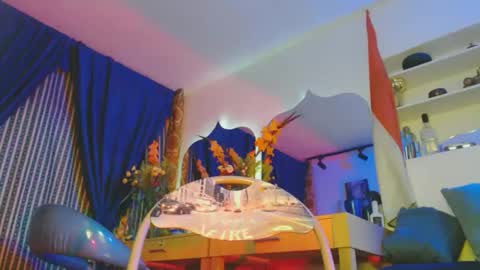 elcaballeroblack online show from November 2025 03:05:01 AM