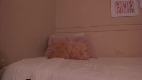 ELECTRA online show from February 2026 11:35:02 AM