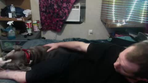 ElegantDeviance69 online show from December 2024 07:17:01 AM