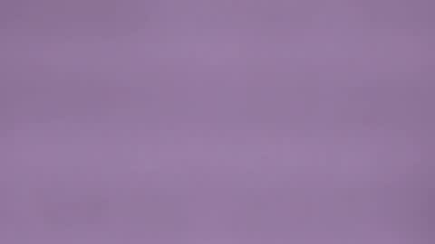 elenacortez online show from December 2025 03:59:01 AM