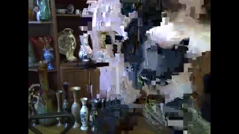 ElenaZed online show from February 2026 08:29:02 AM