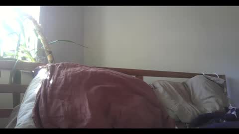 Snapshot of elephantfox chatting on February 2025 09:14:01 PM fox online show from February 2025 09:14:01 PM