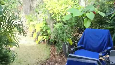 Snapshot of eliberator chatting on January 2025 07:58:02 PM eliberator online show from January 2025 07:58:02 PM