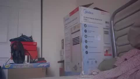 Snapshot of eliexavier123456789 chatting on December 2024 08:36:01 PM eliexavier123456789 online show from December 2024 08:36:01 PM