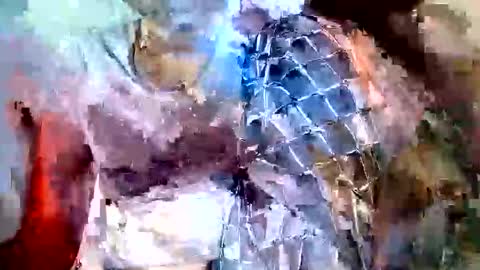 Snapshot of elina_roy03 chatting on November 2025 07:31:02 AM elina_roy03 online show from November 2025 07:31:02 AM