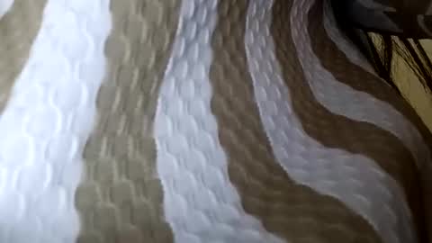 Snapshot of elina_roy03 chatting on December 2025 02:38:01 AM elina_roy03 online show from December 2025 02:38:01 AM