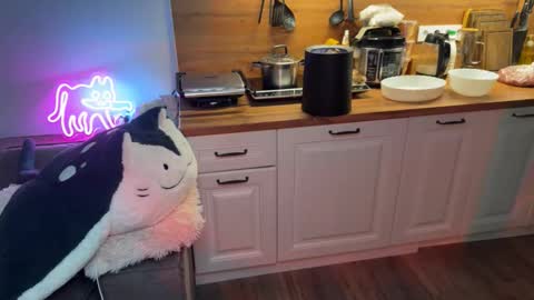 Snapshot of elisa_north chatting on September 2025 04:11:01 PM Elisa North online show from September 2025 04:11:01 PM