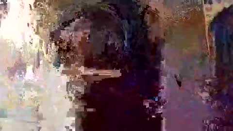 elizabit online show from April 2026 09:28:02 AM