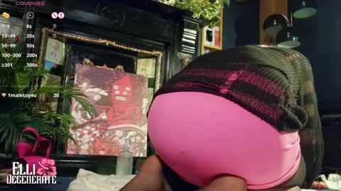 Snapshot of elli_degenerate chatting on January 2025 12:52:02 AM Elli Degenerate online show from January 2025 12:52:02 AM