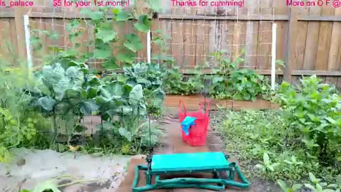 Snapshot of ells_palace chatting on July 2026 01:47:02 PM Ella Bella Bo Bella online show from July 2026 01:47:02 PM