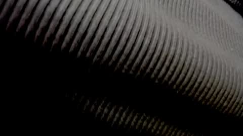 Elly online show from April 2026 11:30:02 AM