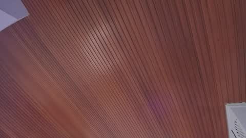 Elodie  online show from February 2026 11:40:02 AM