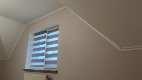 Alina online show from November 2025 01:17:02 PM