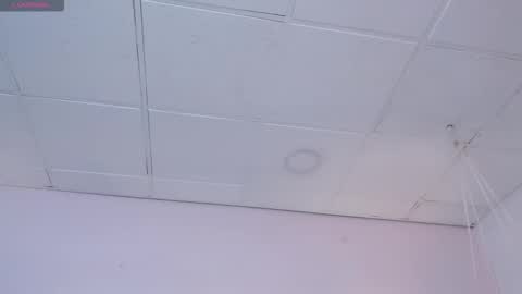 Danna online show from February 2026 04:19:01 AM