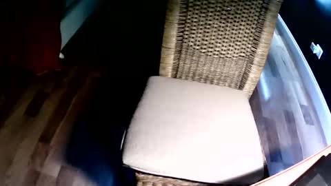 Snapshot of emi4850 chatting on December 2024 08:15:01 PM emi4850 online show from December 2024 08:15:01 PM