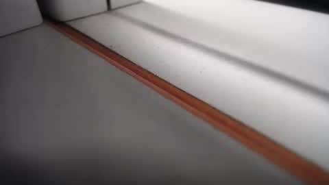 emily hoot1 online show from February 2025 10:37:02 AM