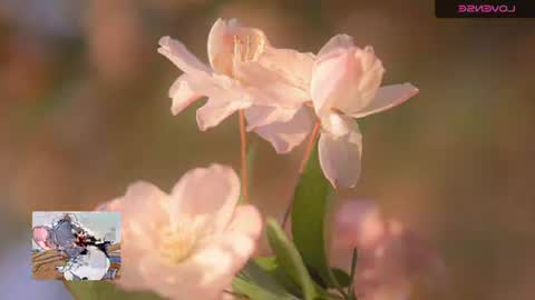 emily hoot1 online show from November 2025 09:42:01 AM