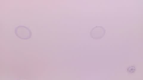 Emily Bank online show from March 2026 07:36:02 PM