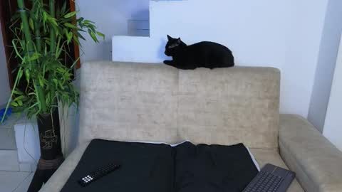 Emma Blue  modelo independiente online show from March 2026 03:12:01 AM