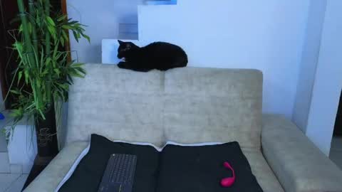 Emma Blue  modelo independiente online show from April 2026 03:08:02 AM