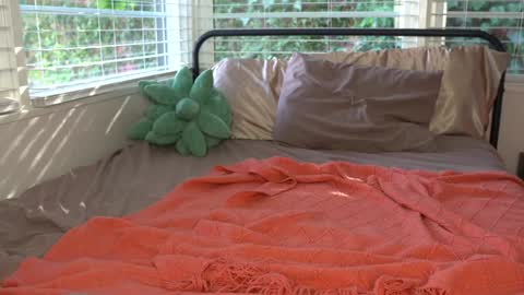 Snapshot of emma_ruby chatting on January 2025 06:10:01 PM Emma Ruby online show from January 2025 06:10:01 PM