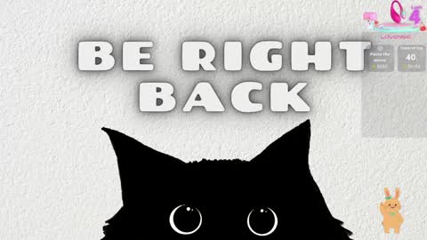   online show from April 2026 11:38:02 AM