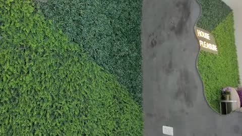 Emmiily online show from January 2025 11:13:02 PM