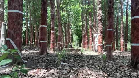 Snapshot of enjoythetrip chatting on November 2025 01:45:02 PM Luke online show from November 2025 01:45:02 PM