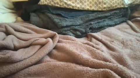 epicstrokesz online show from January 2026 07:19:01 PM