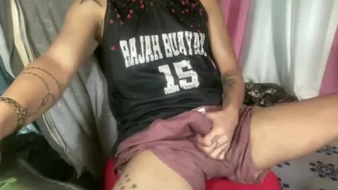 ariel acebedo online show from February 2026 03:46:01 AM