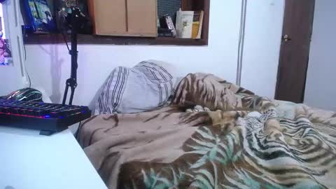 Esteban online show from December 2024 07:38:01 AM