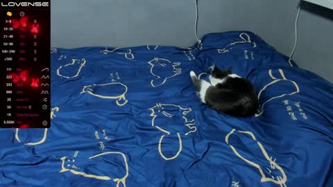 Snapshot of eva_zero chatting on January 2025 01:58:02 PM Eva online show from January 2025 01:58:02 PM