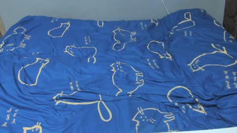 Snapshot of eva_zero chatting on February 2025 02:04:01 PM Eva online show from February 2025 02:04:01 PM