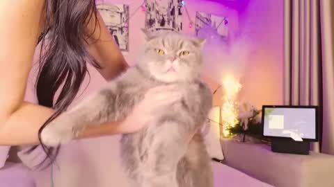 Eva 3 online show from December 2025 08:03:02 PM