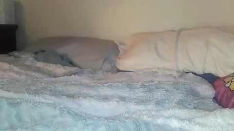 evangeline69xxx online show from February 2026 06:26:01 AM