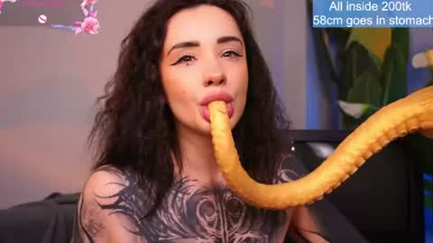 Snapshot of evarabbit chatting on June 2026 02:00:01 AM Eva online show from June 2026 02:00:01 AM