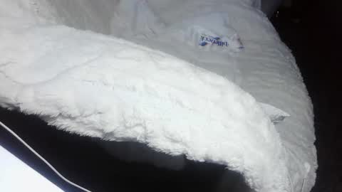 Snapshot of everlasthu chatting on February 2025 01:44:01 AM everlasthu online show from February 2025 01:44:01 AM