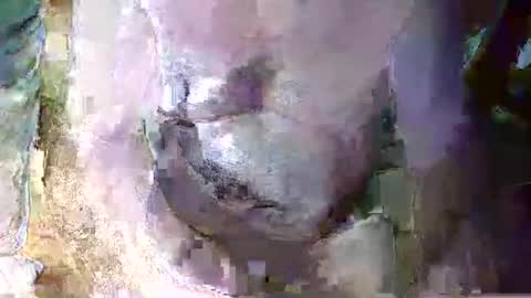 expogent online show from April 2026 07:24:02 AM