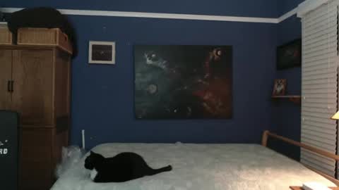 Tommy Rose online show from December 2024 04:53:02 AM