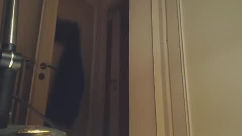 EZCODA online show from January 2025 01:38:02 AM