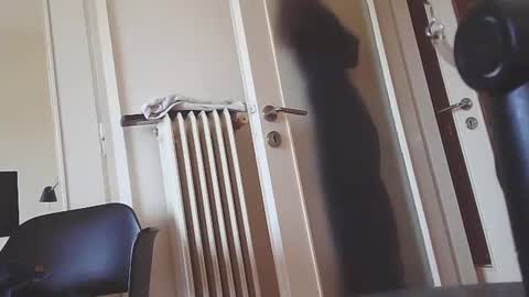 EZCODA online show from January 2025 10:11:02 AM