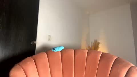 Thianna online show from November 2025 12:13:01 PM