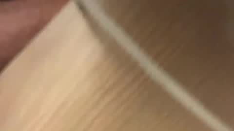 Snapshot of fabinou32 chatting on January 2025 12:20:02 AM fabinou32 online show from January 2025 12:20:02 AM