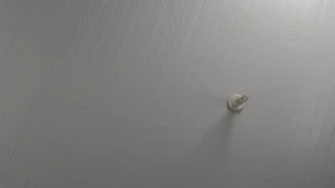 Snapshot of fabricaca chatting on December 2024 09:10:01 AM fabricaca online show from December 2024 09:10:01 AM