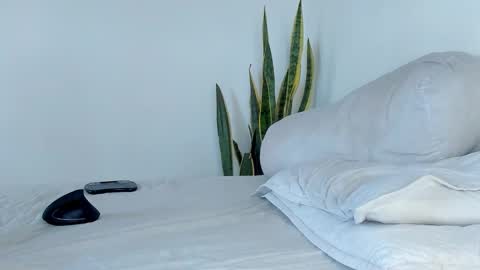 Snapshot of fabrizio_amery chatting on November 2025 02:04:01 PM - A N D E R online show from November 2025 02:04:01 PM