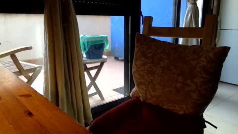 Fabro online show from March 2026 07:48:02 AM