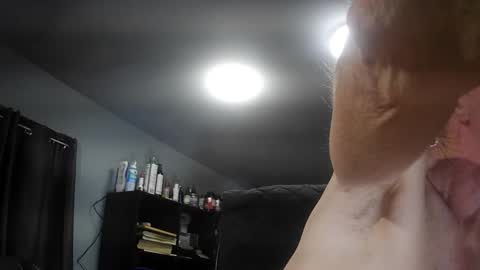 fantasyresort online show from November 2025 04:11:02 AM